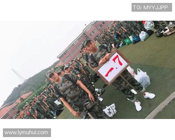 北京排球队的辉煌之路：一部排球精神与团队奋斗的真实纪实