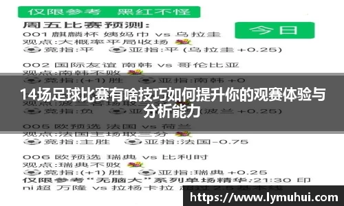 14场足球比赛有啥技巧如何提升你的观赛体验与分析能力